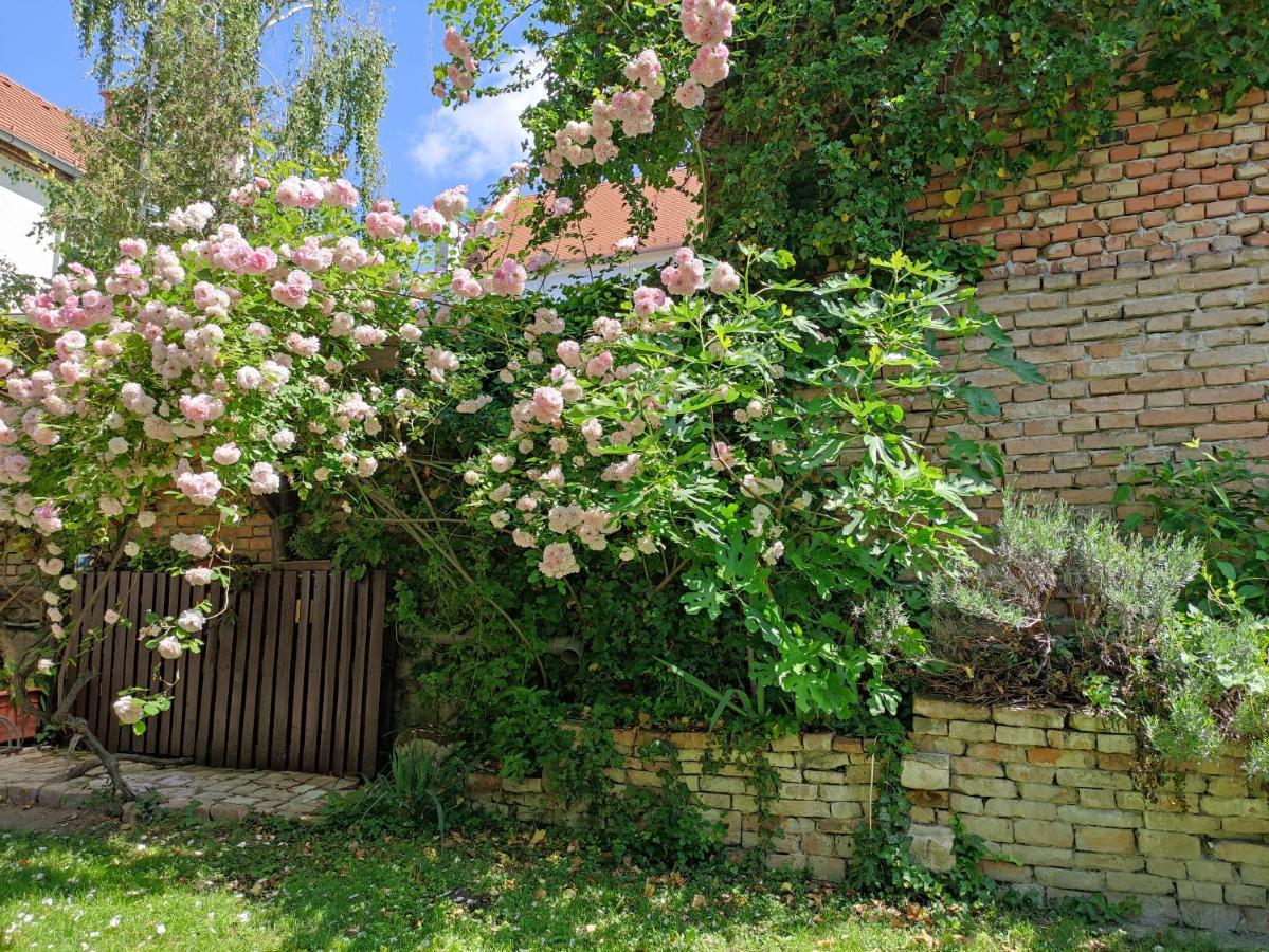 Patak28 Apartmanok Sopron Exterior photo